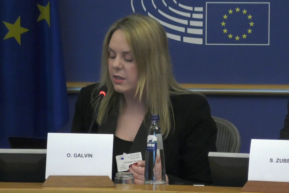 Screenshot 2026-02-25 112409